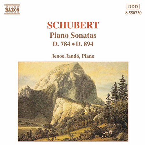 Schubert: Piano Sonatas, D. 784 And D. 894