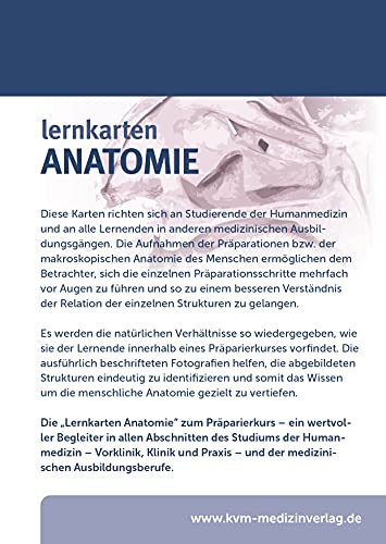 Image of Lernkarten Anatomie
