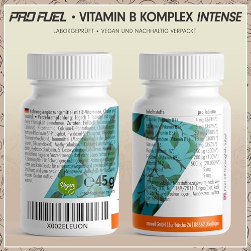 Vitamin B Komplex hochdosiert - 2x180 Tabletten - alle 8 B-Vitamine (B1, B2, B3, B5, B6, B7, B9, B12) + Co-Faktoren Cholin & Myo-Inositol - laborgeprüft mit Zertifikat, vegan - Vorrat für 12 Monate