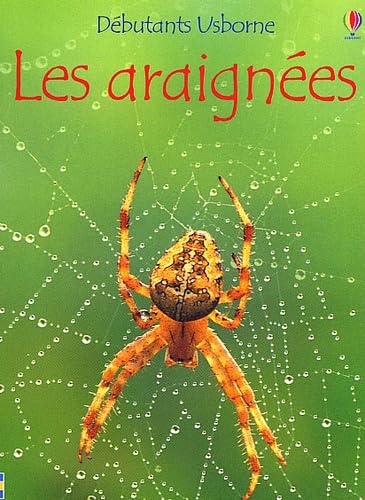 Araignees -les Collectif