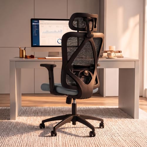 Image of DROGO Ergonaut Ergonomic Office Chair for Work from Home | Computer Chair with 2D Headrest, Armrests & Adjustable Lumbar Support | Breathable Mesh with 120 Recline, 1-Year Warranty(Black & D.Grey)