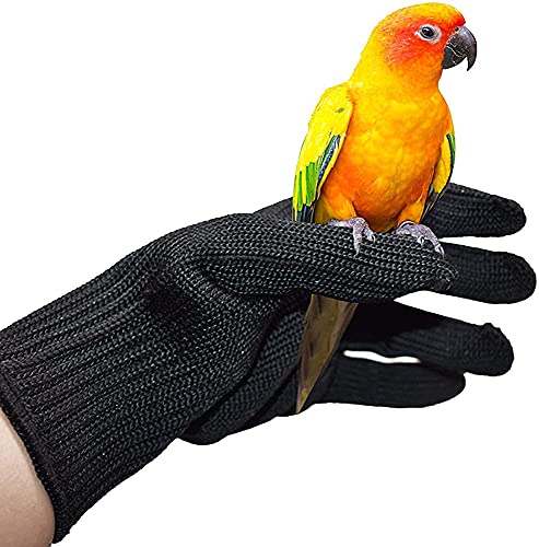 Training Anti- Bijt Handschoenen, Vogel Huisdier Kleine Dieren Kauwen Beschermende Handschoenen Stalen Draad… - Afbeelding 7