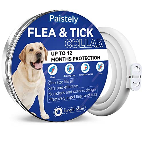 Collare Antiparassitario Per Cani, Antipulci Sicuro E Composto Da Oli Essenziali Naturali Al 100%, Efficacia 12 Mesi 65cm Antizecche Per Tutte Le Taglie