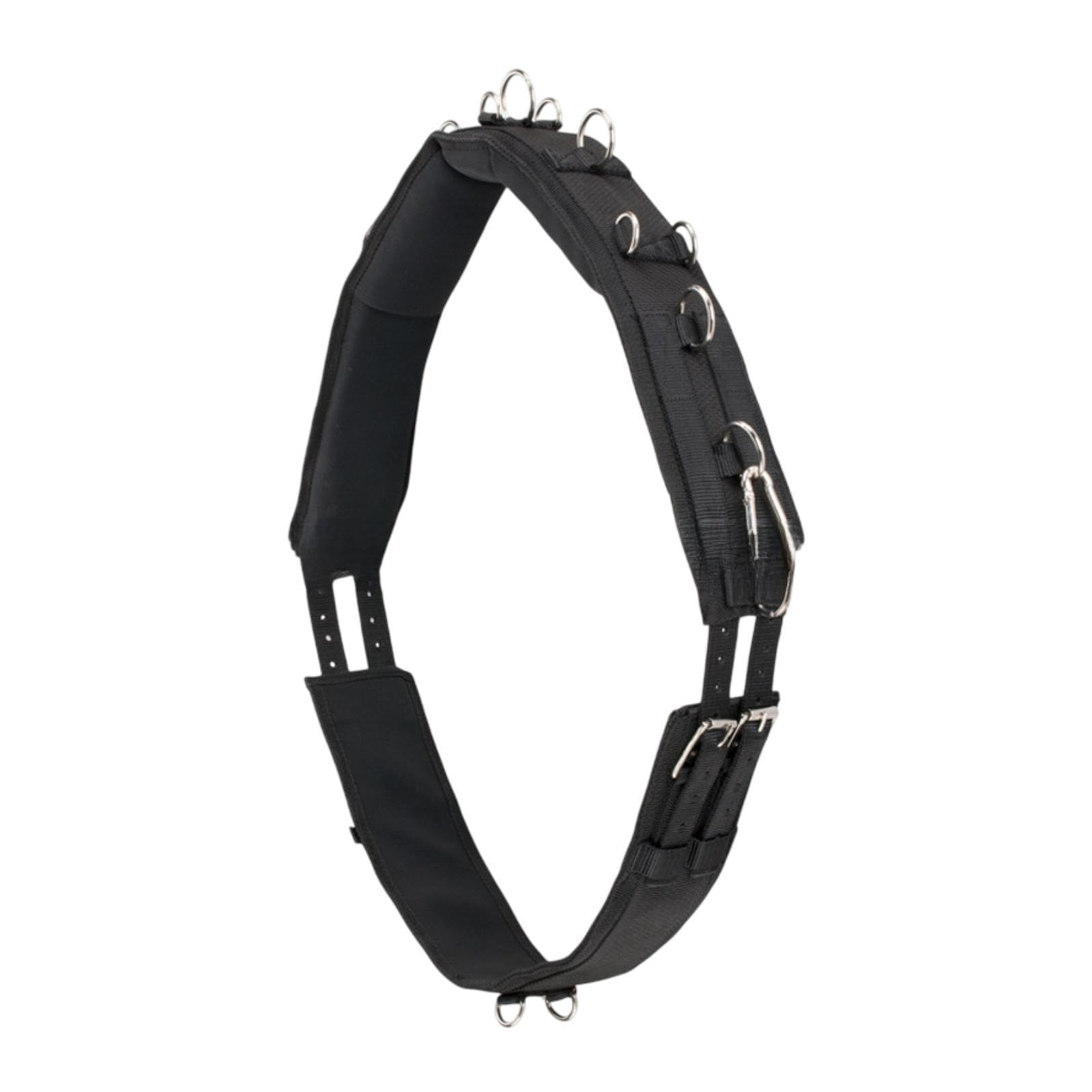 Fenteer Système de Formation Horse Supprocle pour Chevaux avec Matériel