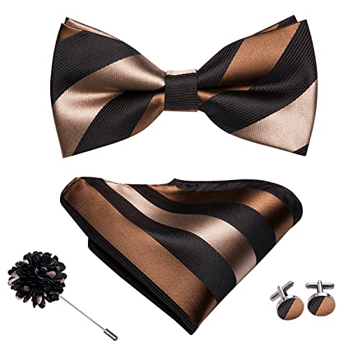 Image of Dubulle Mens Paisley Striped Bowtie Set Pre-tied Bowtie for Men and Pocket Square Set Wedding Business