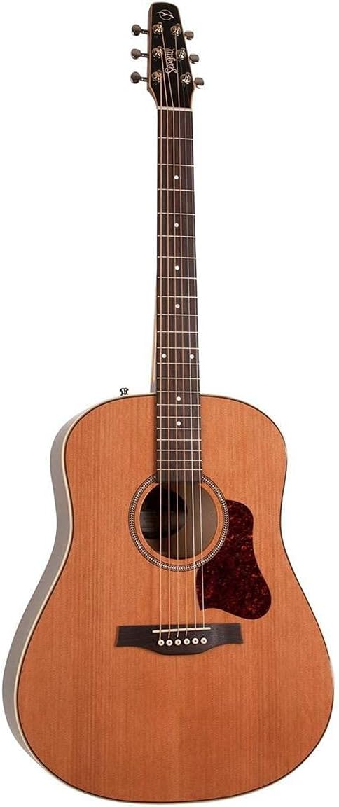 Seagull Coastline Momentum High Gloss Acoustic Electric Guitar