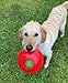 Jolly Pets Teaser Ball Dog Toy, Small/4.5 Inches, Red (1504 RD)