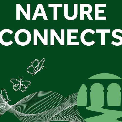 Tamar Valley Wetlands – supporting a wealth of wildlife, benefitting our environment and all that lives within - Episode 1