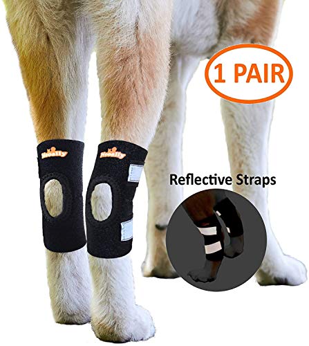 NeoAlly Dog Ankle Braces Canine Rear Leg Brace [Short Version] for Short Leg