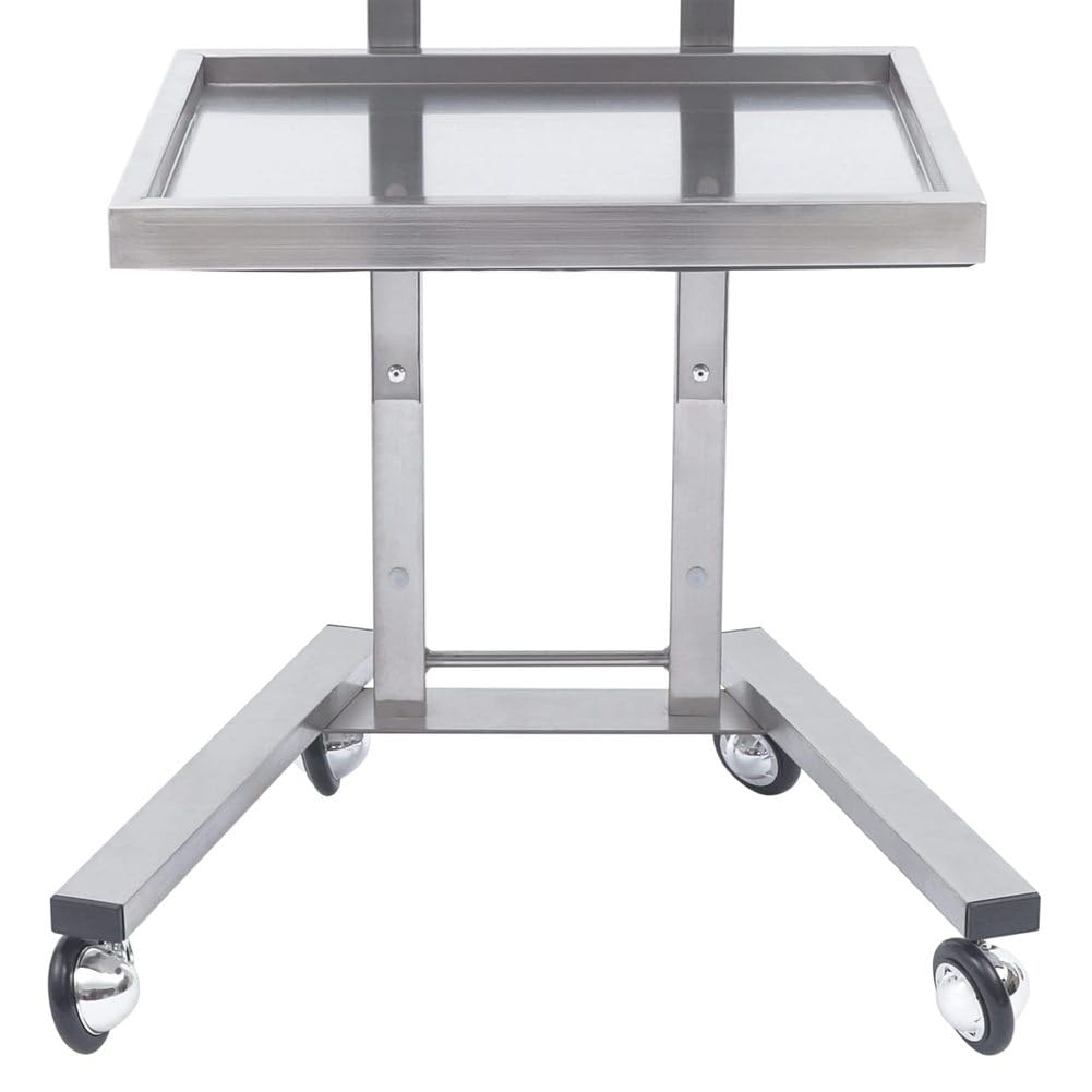 Carrito rodante de acero inoxidable de 2 niveles, carrito de servir plegable con ruedas, bandeja versátil para tatuajes, belleza y uso en la cocina, diseño duradero y portátil