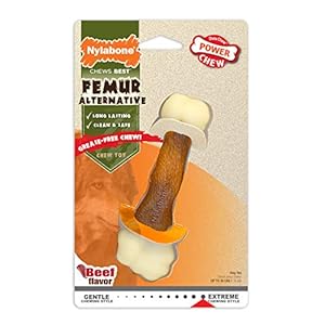 Nylabone Power Chew Femur Bone Rawhide Alternative Nylon Chew Toy for Dogs, Dog Toys for Aggressive Chewers, Beef, Medium/Wolf (1 Count) Nylabone Power Chew Femur Bone Rawhide Alternative Nylon Chew Toy for Dogs Dog Toys for Aggressive Chewers Beef MediumWolf 1 Count