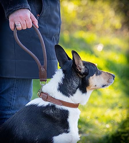 Kurzführer Hundeleine Bear 30cm - Kurze Hundeleine aus Echt-Leder rundgenäht – Hunde Lederleine kurz (Dunkelbraun)