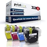 Print-Klex GmbH & Co.KG