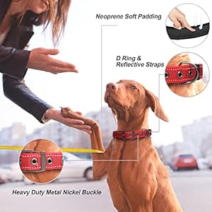 Petifine Dog Collar with Metal Buckle Heavy Duty Dog Collar with Soft Neoprene Padded Adjustable Reflective Nylon Dog Collars for Small Medium Large Dogss Red Cucciolini Doodles Petifine dog collar with metal buckle heavy duty dog collar with soft neoprene padded adjustable reflective nylon dog collars for small medium large dogss red cucciolini doodles