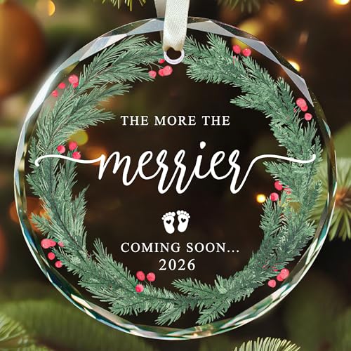 KatAndNat Pregnancy Announcement Ornament