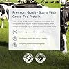Transparent Labs Grass-Fed Whey Protein Isolate - Proteína Whey Aislada Alimentada con Pasto con Sabor Natural, Sin Gluten con 28g de Proteína por Porción y 9 Aminoácidos - 30 Porciones, Vainilla Francesa 30 Porciones (Paquete de 1) 8