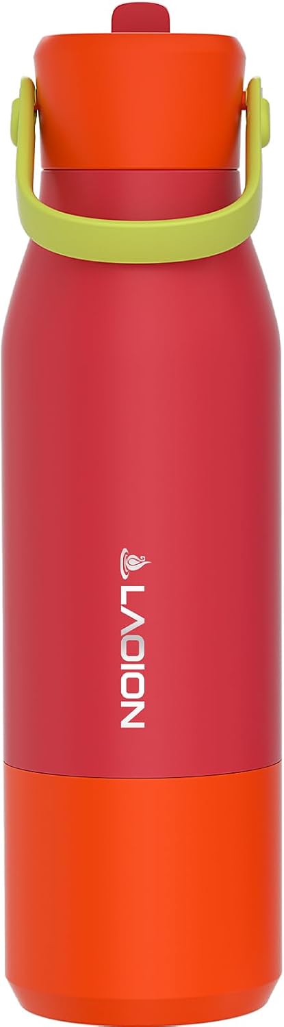 LAOION 32 oz Stainless Steel Insulated Water Bottle with Moveable Handle, Sports Bottle for Travel, Office, School and Fitness, Purple