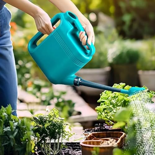 Arrosoir pour plantes d'intérieur évitant les éclaboussures