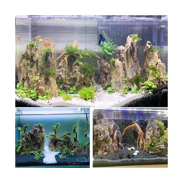 Unocho Stone Rock Aquariums Decoration Aquascaping Stone 2-4 inches for Aquariums Landscaping Model Tank Decoration-5LB - Image 4