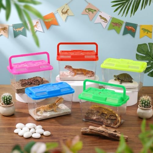 Image of LemonRoad 25 Pcs Plastic Reptile Terrariums,Classic,5.9x4.3x3.5 Inch