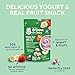 Gerber Snacks for Baby Variety Pack, Organic Yogurt Melts & Organic Puffs (Set of 7)