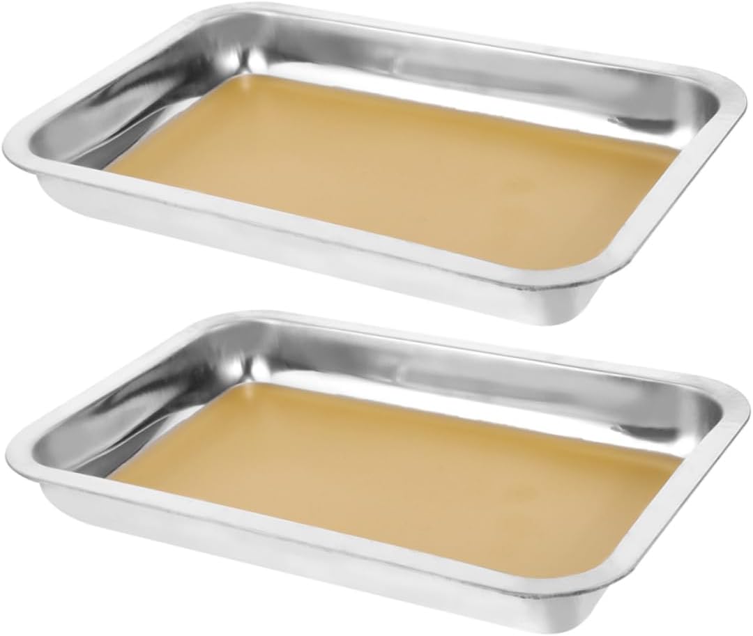 PRETYZOOM 2pcs Educational Dissection Equipment Stainless Steel Dissection Tray for Students Teachers