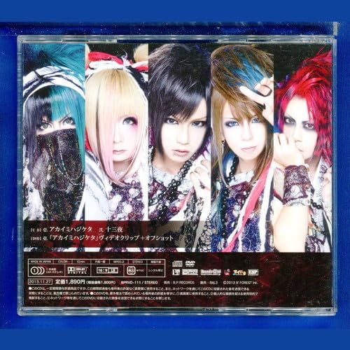 己龍をまだ知らないあなたに聴いてほしい！定番曲から初期の曲まで