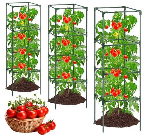 3Pack Tomato Cages for Garden,Square Tomato Plant Cage Support Heavy Duty Pole 57*15.4*15.4 Inches,Steel Plant Tower Stakes,Cherry Tomato Trellis Cucumber for Climbing Vegetables Flowers Fruits-Green