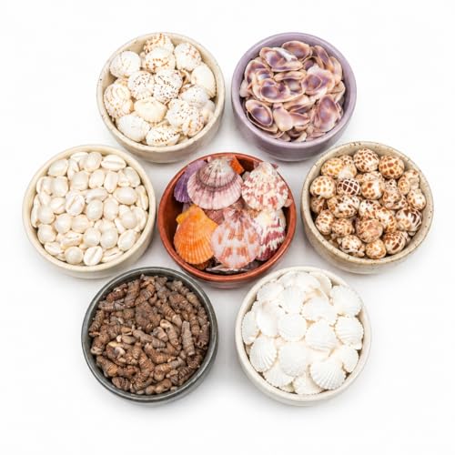 Image of 450g Natural Sea Shells (350+ Pcs) - 7 Unique Types for Aquarium, Vastu & Home Decor | Big Size Mixed Sipiyan | Odor-Free & Clean for Resin Art & Pooja