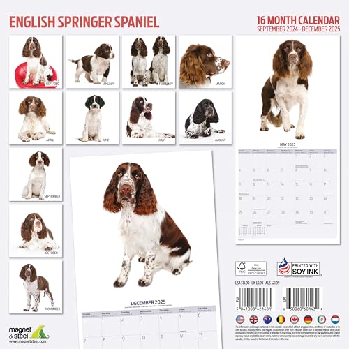 English Springer Spaniel 2025 Modern Calendar, Various - Image 2