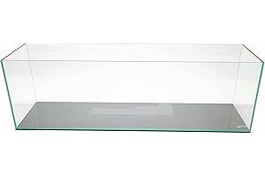 Lifeguard Aquarium: Stunningly Clear Views for Your Aquatic Gems