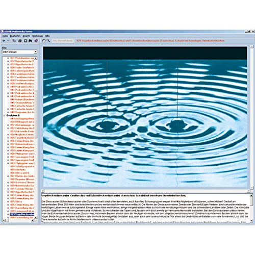 Image of 3B Scientific GmbH W13541 The Structure of Matter I