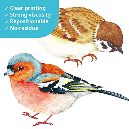Decowall DS-8063 Ds4-8063 25 Little Birds Wall Art Decals Stickers Kids Peel And Stick Removable Nursery Bedroom Living Art Décor Tree Flying Branch Diy Vinyl Home Decoration Flower Watercolor Colorful thumb #4
