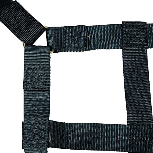 Us Cargo Control Short Pickup Truck Bed Cargo Net, 66 Inches By 50 Inches, Durable Cargo Net With S-Hook Fittings, Cam Buckles For Adjustment, Ideal For Pickup Truck Beds #TOP7