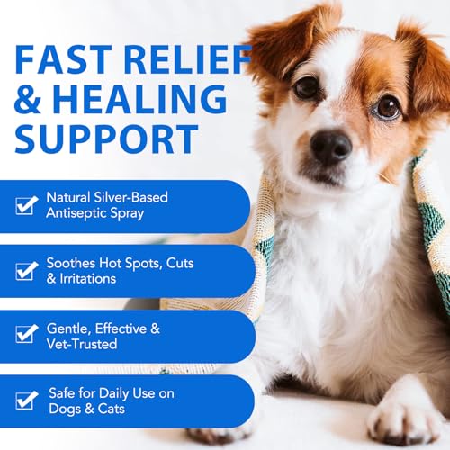 CiAIplw Haustier Wundspray, Wundpflege für Hunde & Katzen, Regeneration der Haut bei Wunden, Entzündungen und Irritationen, Narben- und Wundspray gegen Juckreiz & Kratzen, 120ML