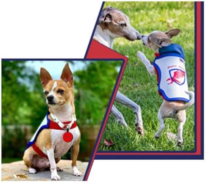 Raptor Shield Puncture Resistant Pet Vest For Small Dogs Talon Proof Protection Against Attacks By Hawks Raptor Shield Puncture Resistant Pet Vest For Small Dogs Talon Proof Protection Against Attacks By Hawks