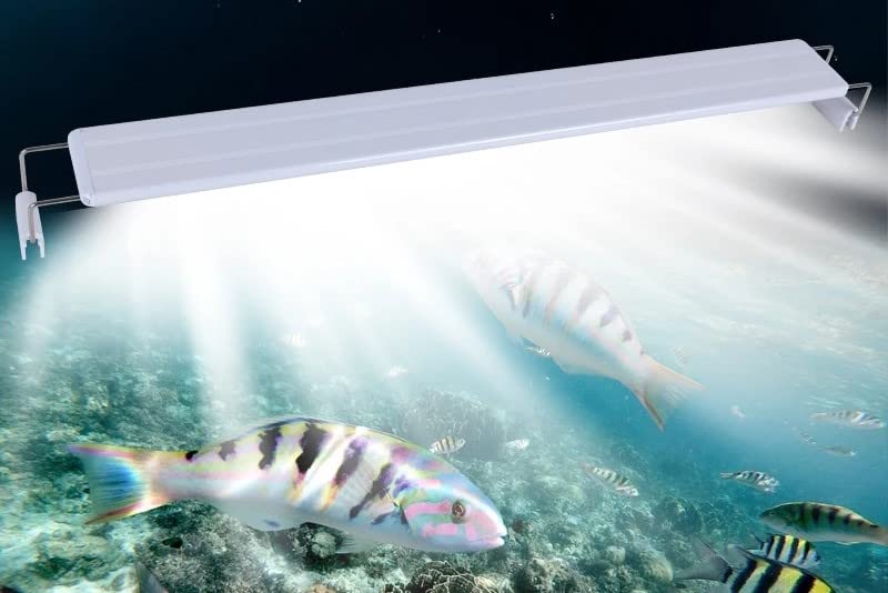 VAYINATO® RS-T600 Suits for 60~70cm Tank Aquarium Ultra Thin Design Fish Tank Aquatic Plant Grow Waterproof Bright LED Light Clip Lamp (Blue+White) by Petzlifeworld (B0B21HVRHF) Amazon Price History, Amazon Price Tracker
