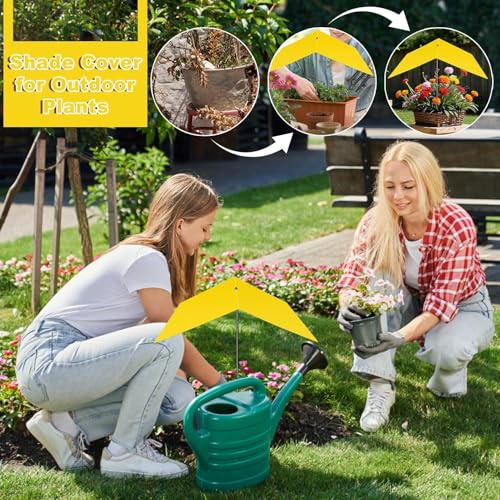 Sombrilla para plantas decorativas en terrazas y cafeterías urbanas 3