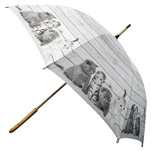 Preisvergleich Produktbild AS4HOME Regenschirm Katzen - Stockschirm Motivschirm