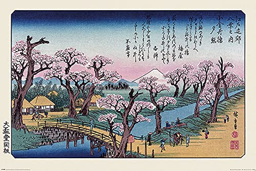 Pyramid Hiroshige Mount Fuji Koganei Bridge Unisex...