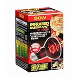 GEX EXOTERRA ヒートグロー 赤外線照射スポットランプ 50W PT2141 赤い光 トカゲ類・リクガメ等 昼夜兼用集光型スポットランプ