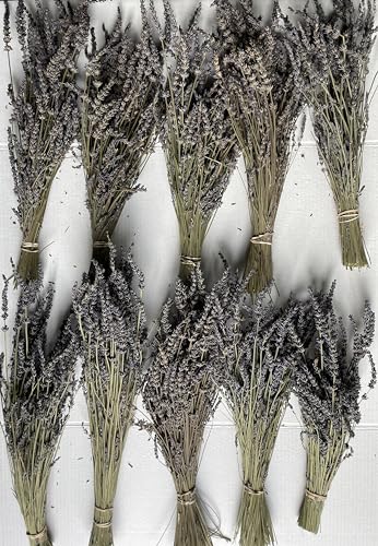 Ramos de Lavanda Natural Secada para Manualidades 10 Unidades miniatura 1