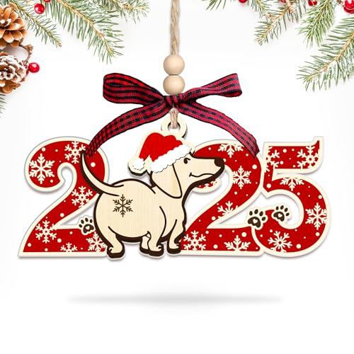 HEXMOZ Dog Christmas Ornaments 2025 - Funny Dog Ornament for