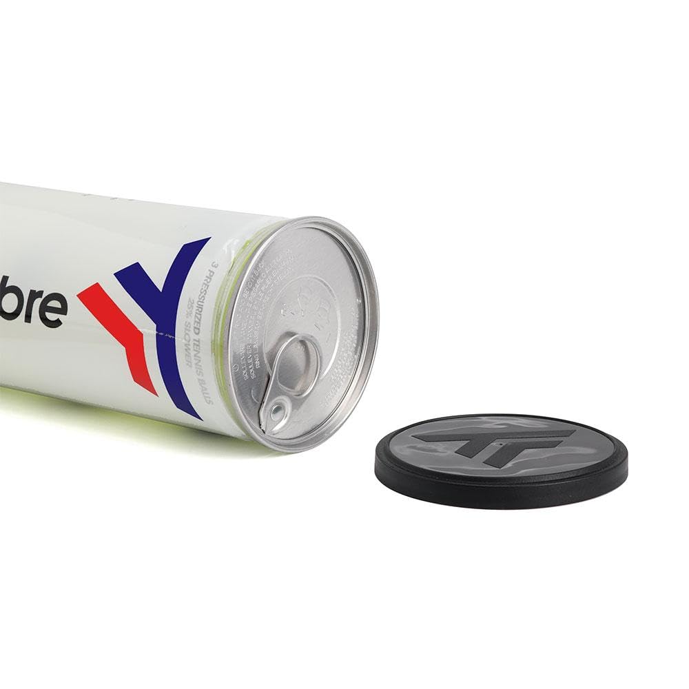Tecnifibre Court Balls Can|1 Can|3 Balls 3
