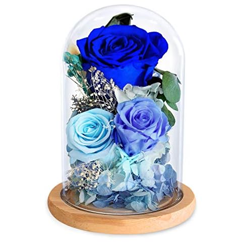 KING DOO Eternal Rose 3 Köpfe konservierte echte Rose unsterbliche Blumen in Glaskuppel für Lehrertag, Geburtstag, Hochzeit, Party und Weihnachten Cover