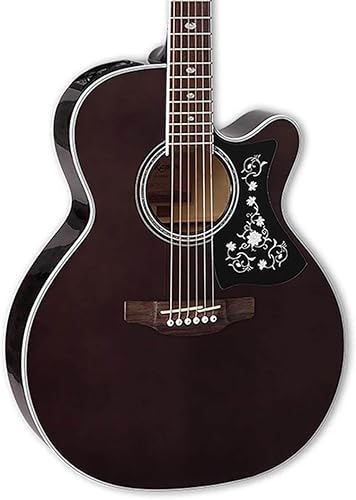 Takamine GN75CE TBK NEX Cutaway - Guitarra acústica y eléctrica, color negro transparente