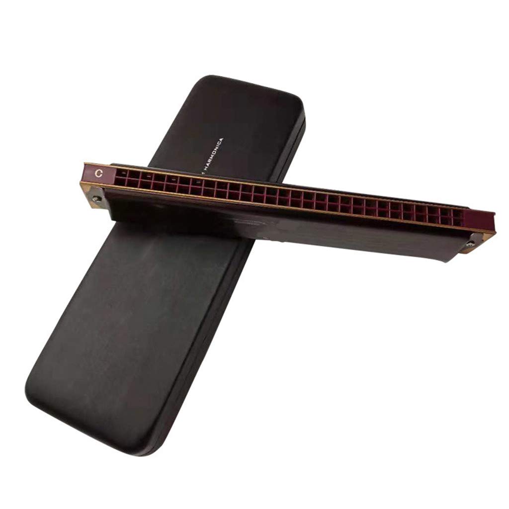 Harmonica C Key Tremolo Diatonic Harmonica con Custodia Rigida e Panno per Giocatori Professionisti, Principianti, Studenti, Adulti e Bambini