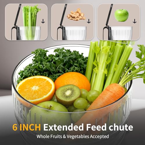 Cold Press Masticating Juicer Machine