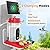 Hummingbird Feeder with Camera Solar Powered, 2.5K AI Bird Recognition with Auto Capture, Ant & Bee Proof for Hummingbirds Feeder, IP66 Waterproof Hummingbird Feeders for Outdoors, Easy Clean & Fill