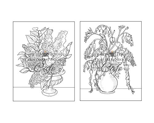 100 Beautiful Flowers Coloring Book: An Adult Coloring Book Featuring 100 Beautiful Flower Designs I